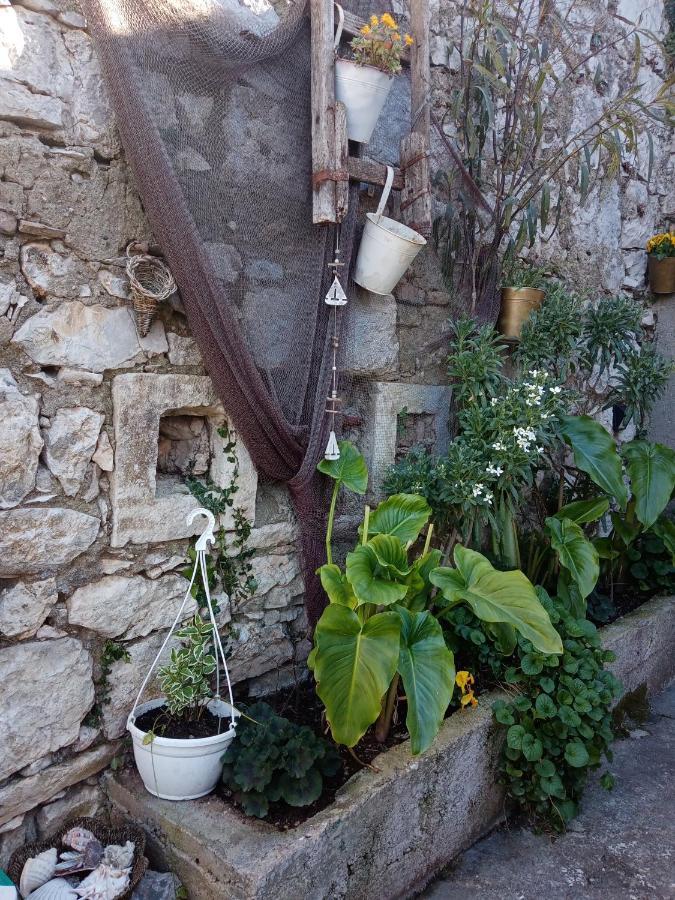 Kaleta Apartman Kali Εξωτερικό φωτογραφία